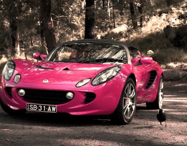 Supercharged Lotus Elise.